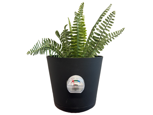 AquaSense Plant Pot